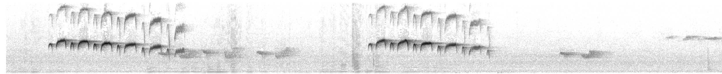 Squamate Antbird - ML203986221