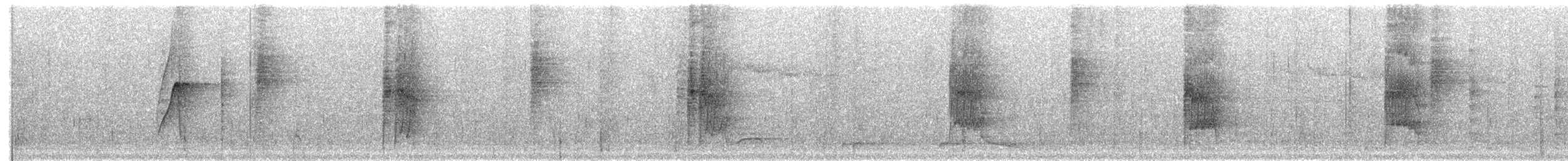 Scalloped Woodcreeper - ML203986231