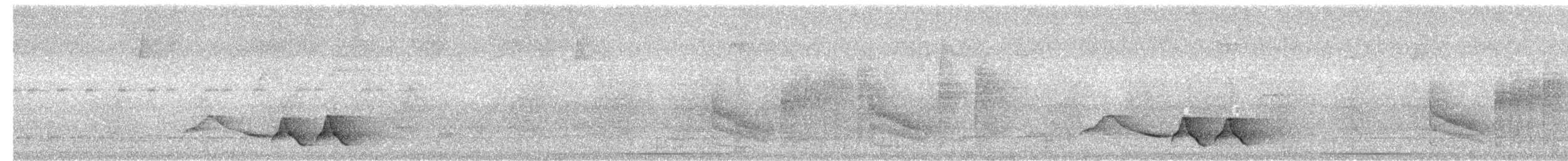 Moustached Wren - ML203986351