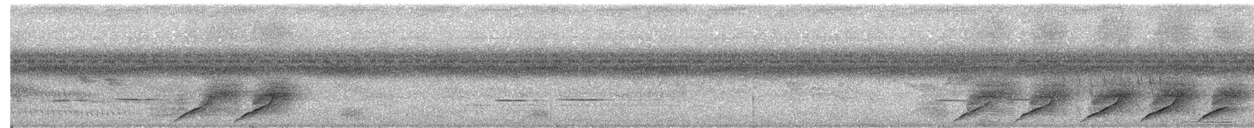 Black-capped Donacobius - ML203986371