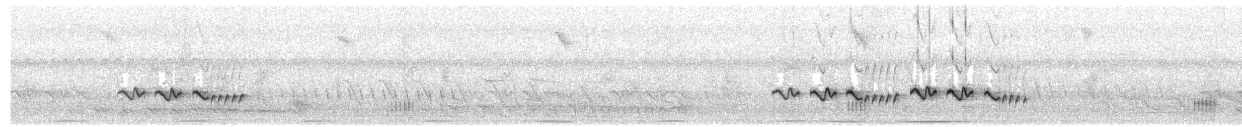 Ashy-headed Greenlet - ML203986401