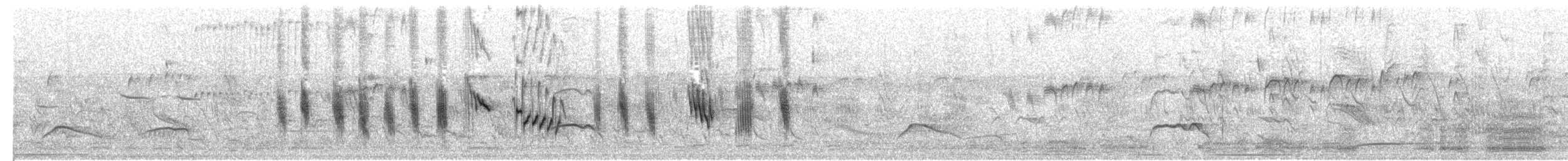 Brown-chested Martin (fusca) - ML203986441