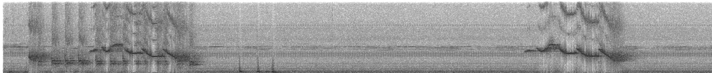 Sumichrast's Wren - ML203986851