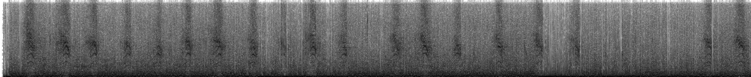 Troglodyte à sourcils roux - ML203987151