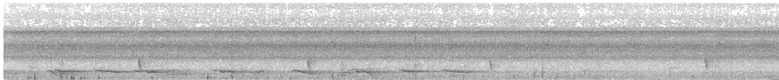 Méliphage souriant - ML203987941