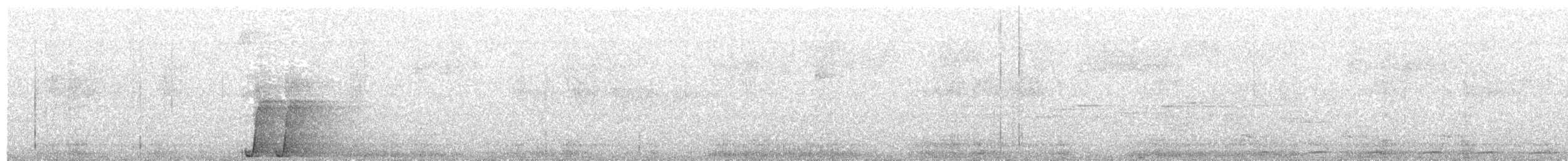 svartsigdnebb - ML203988071