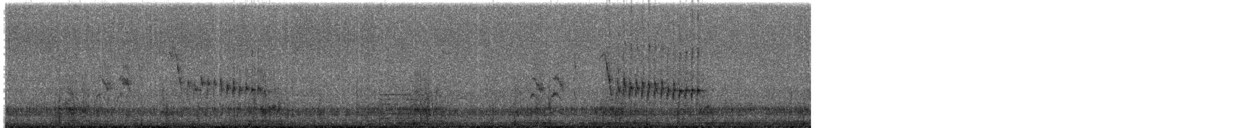 Troglodyte de Socorro - ML203988471