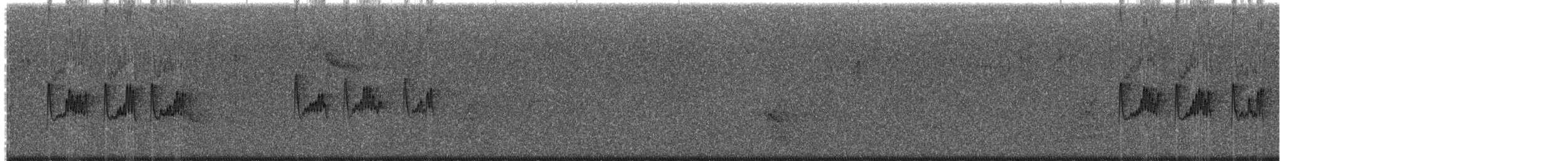 Kuzey Sorguçlu Sinekkapan (phaeocercus/tenuirostris) - ML203988701