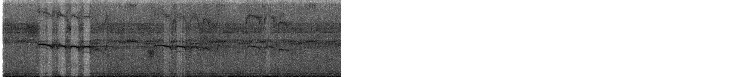 Тиран-карлик жовточеревий - ML203988821