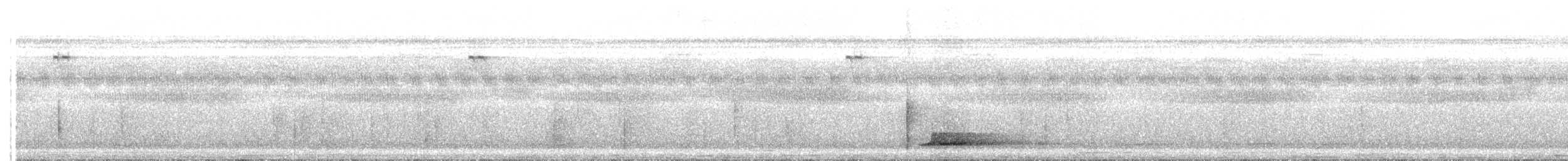 Black-capped Tinamou - ML203989181