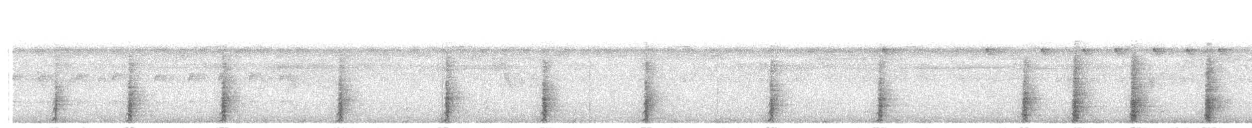 Чачалака цяткована (підвид guttata/subaffinis) - ML203989231