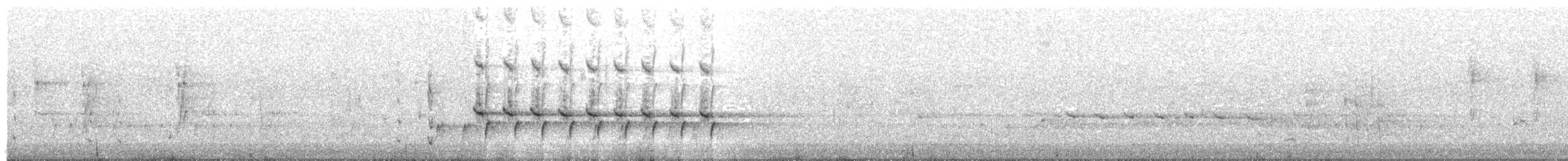 Méliphage à oreillons gris - ML203989791