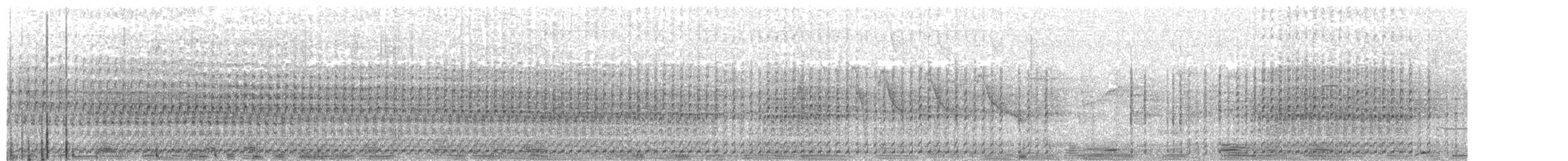 Grèbe malgache - ML203989931