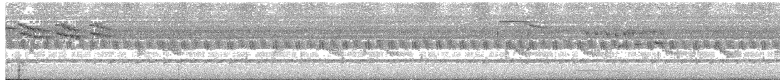 Papamoscas de Cassin - ML203990101