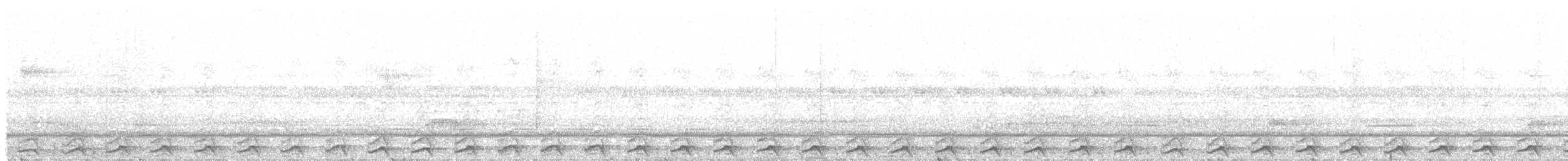 Ninoxe pointillée - ML203990201