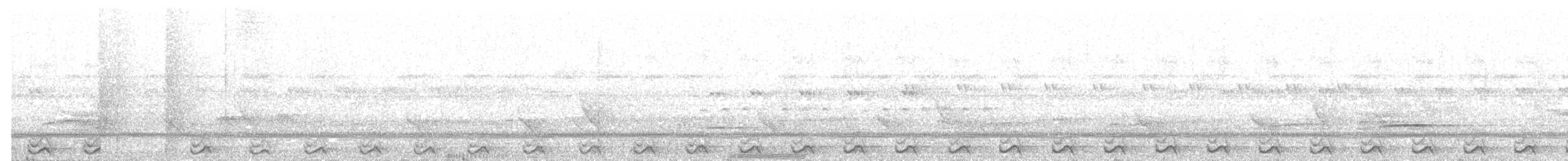 Пятнистая иглоногая сова - ML203990211