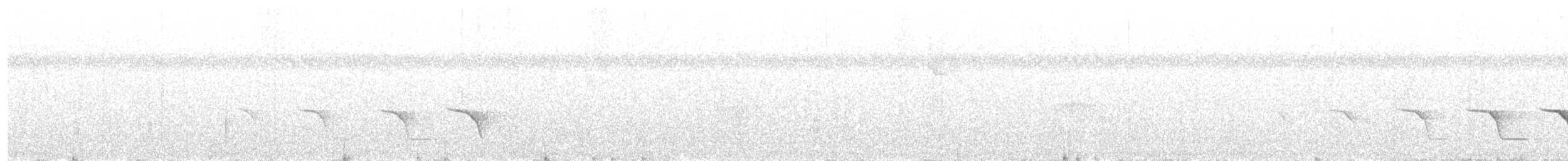Drab Whistler (Drab) - ML203990341