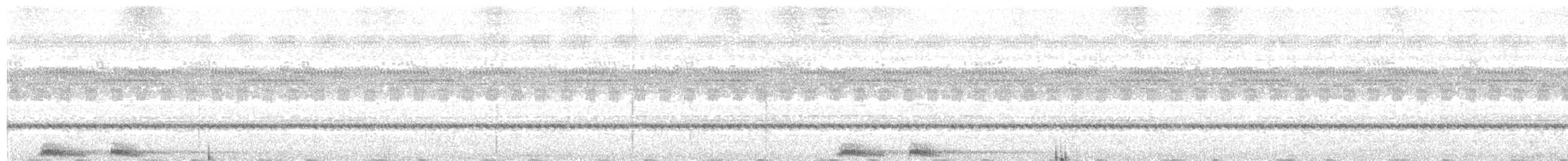 Хальмахерская иглоногая сова - ML203990361