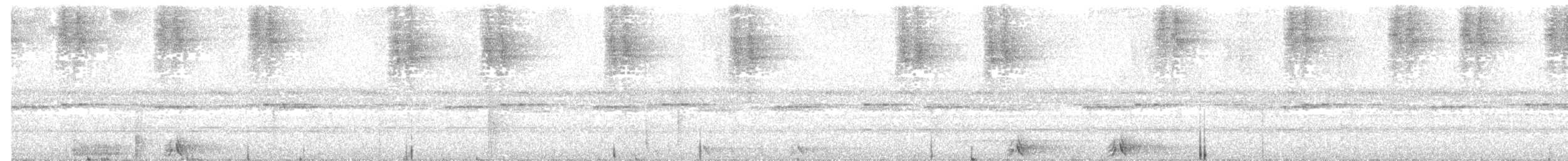 Сулавесская иглоногая сова - ML203990371