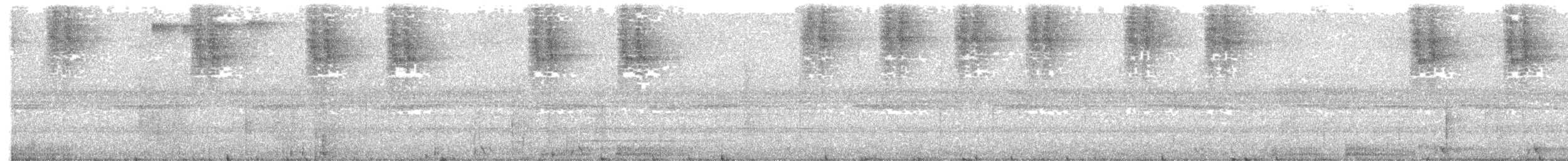 Сулавесская иглоногая сова - ML203990381
