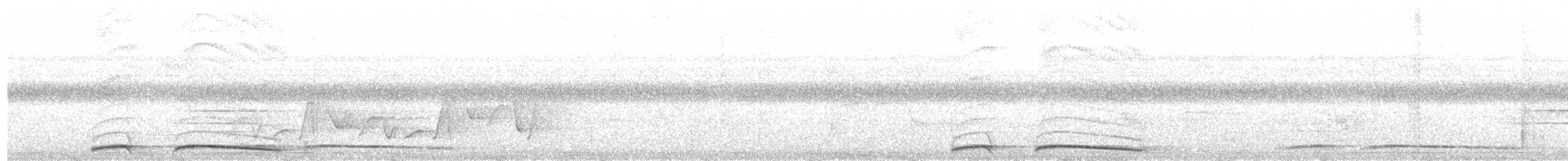 Піта-велетень (підвид maxima) - ML203990431
