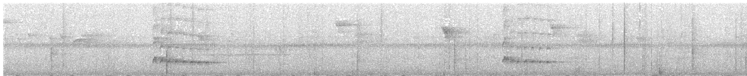 Сулавесский острокрылый дятел - ML203990481