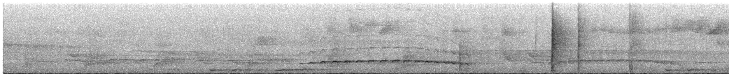Fleckenbrust-Ameisenvogel - ML203991371