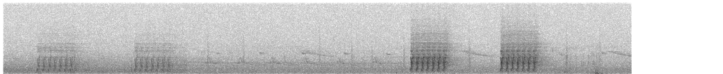 Дивоптах-шилодзьоб бурий - ML203991601