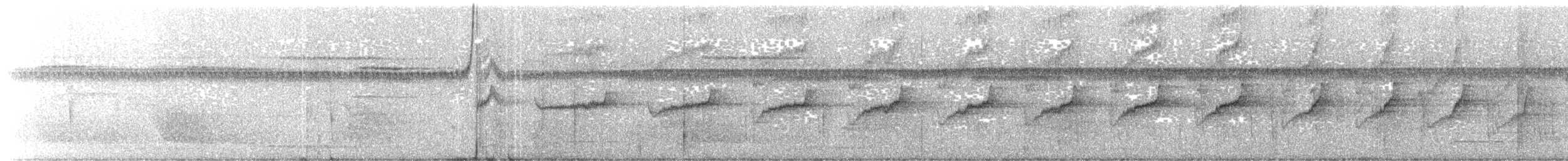 Кадук плямистохвостий - ML203991951