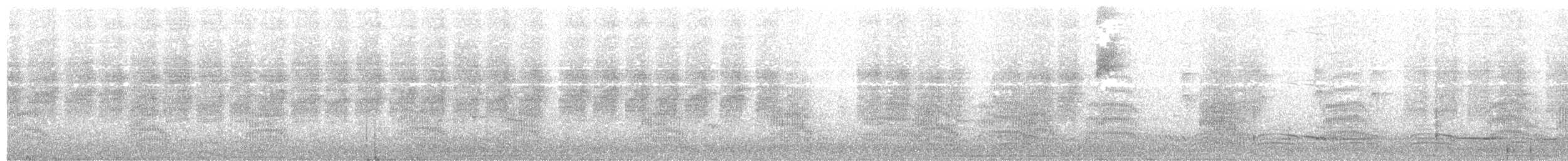 Ak Kaşlı Serikornis (laevigaster) - ML203993041