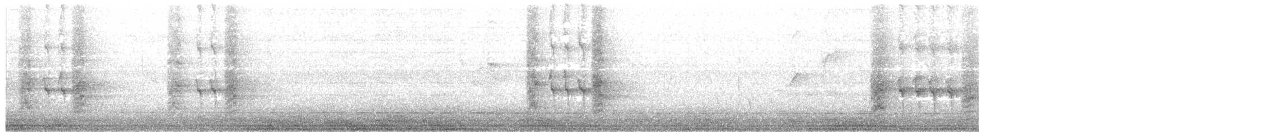Glanzfleckdrongo [bracteatus-Gruppe] - ML203993231