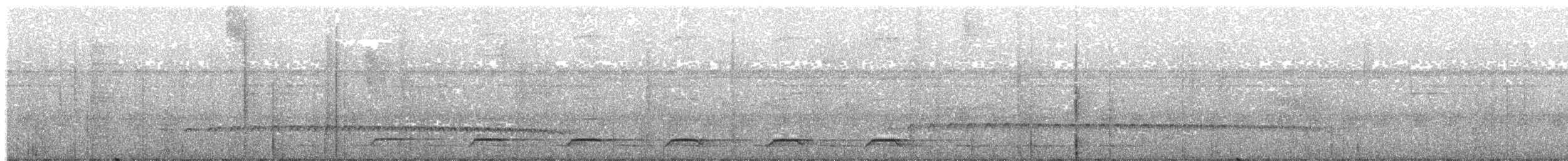 White-tailed Trogon - ML203993601