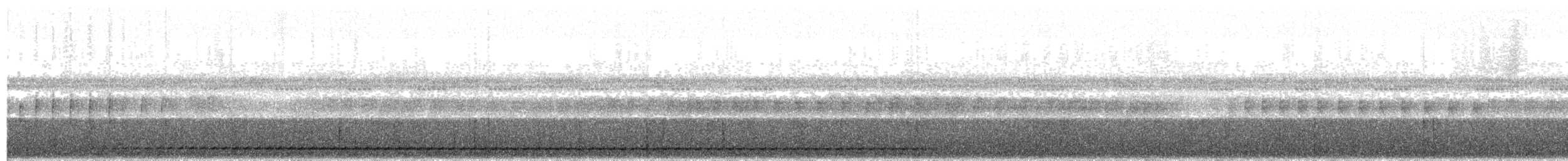 Рораймская совка (roraimae) - ML203994021