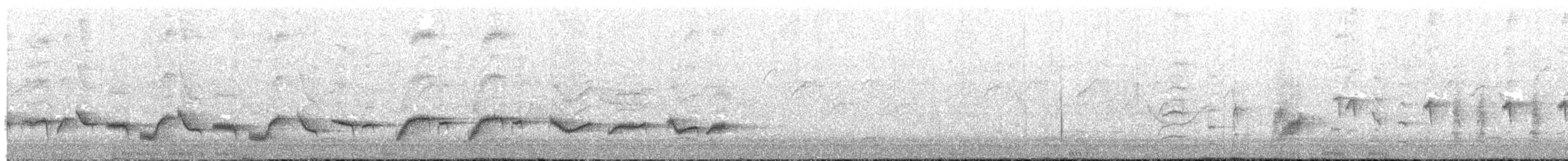 カンムリオウチュウ（hottentottus／brevirostris） - ML203994311