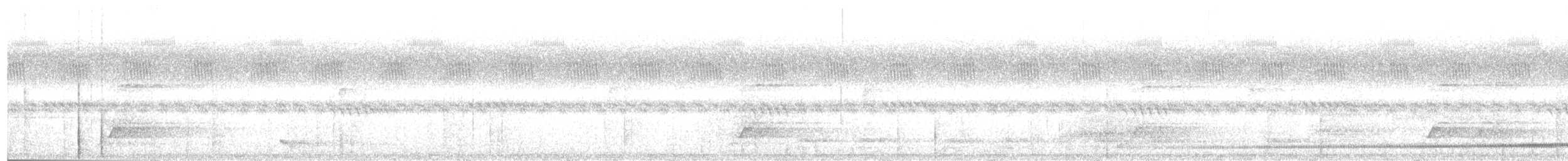 Neuirland-Blaubrustpitta (gazellae) - ML203994771