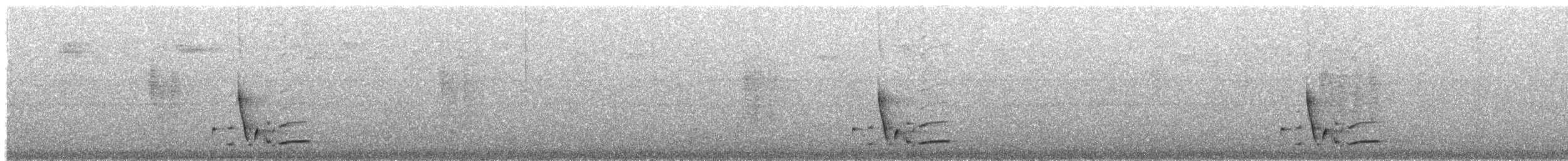 White-bellied Wren (Middle America) - ML203994851