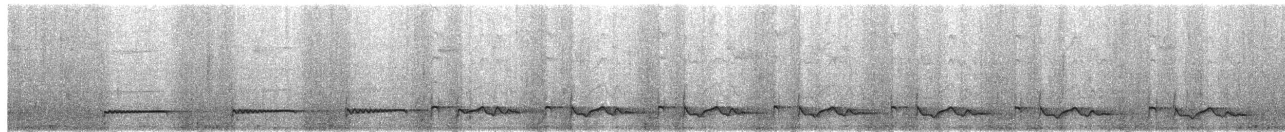 Singwachtel - ML203994871