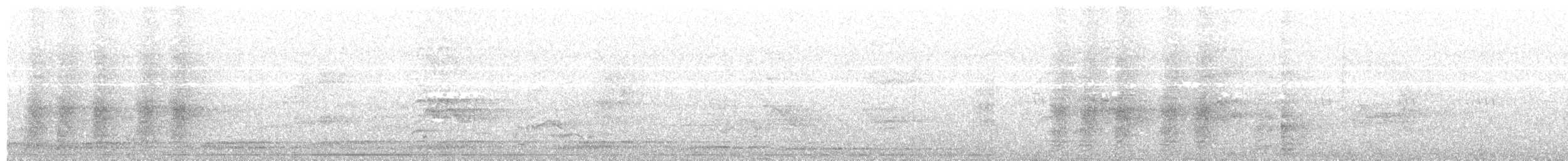 Сверкающий дронго [группа bracteatus] - ML203995211