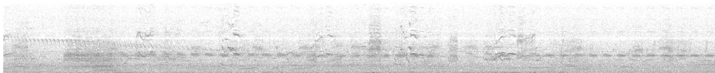 Échenilleur cigale (groupe tenuirostre) - ML203995221