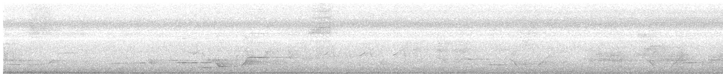 Siffleur gris - ML203995361