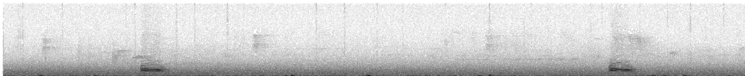 Motmot à bec large (groupe platyrhynchum) - ML203995551