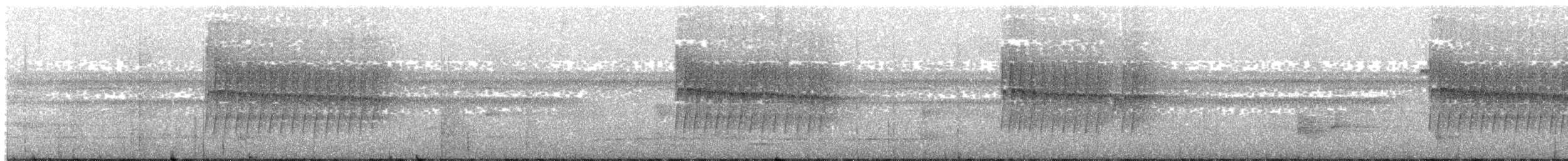 Кадук плямистохвостий - ML203995681