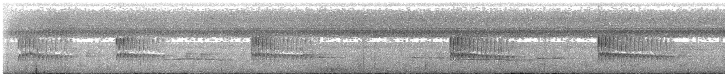 Bürzelbinden-Ameisenfänger - ML203995711