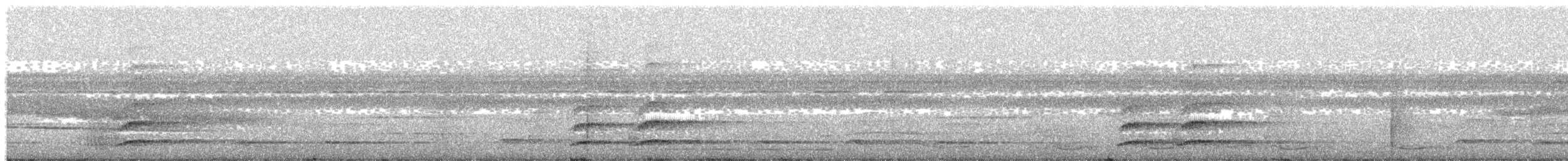 tukan rudozobý (ssp. cuvieri/inca) - ML203995821