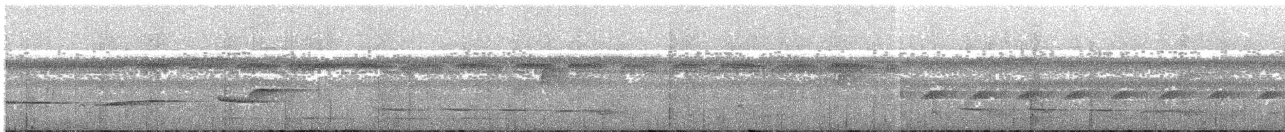 Drosselbekarde (amazonum) - ML203995901