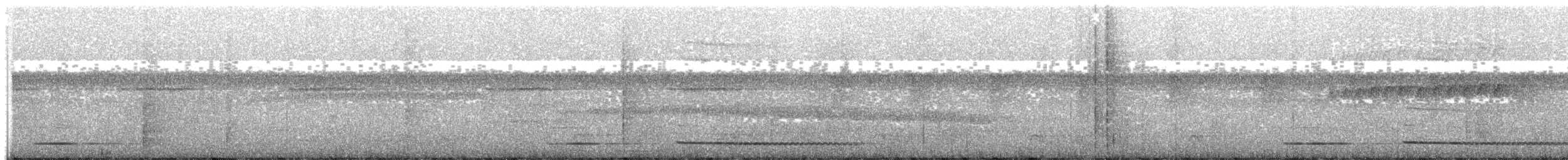 Ochre-striped Antpitta - ML203995931