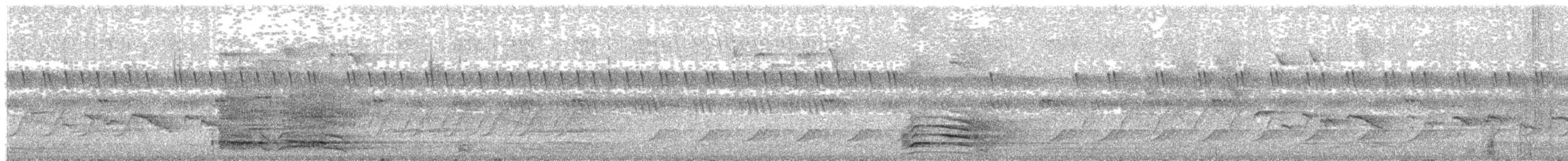 Gabelschwanzhuhn - ML203996791