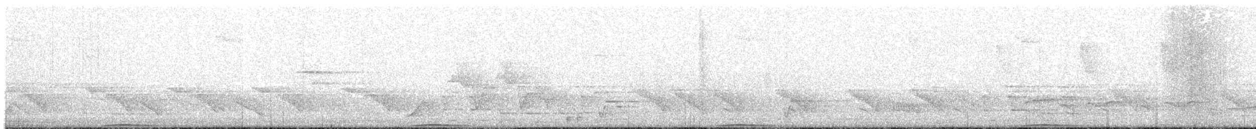 Пінон яванський (підвид sasakensis) - ML203996801