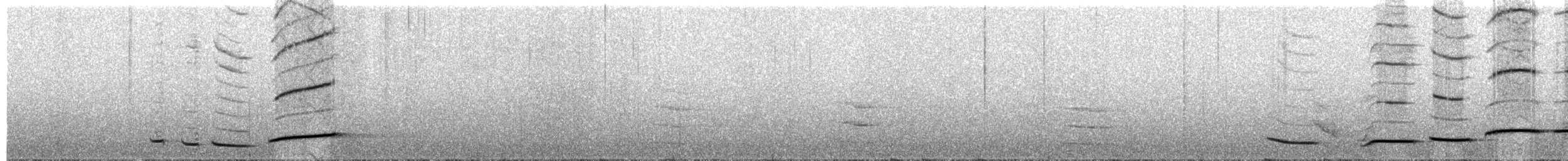 Grande Pseudobrève - ML203997131