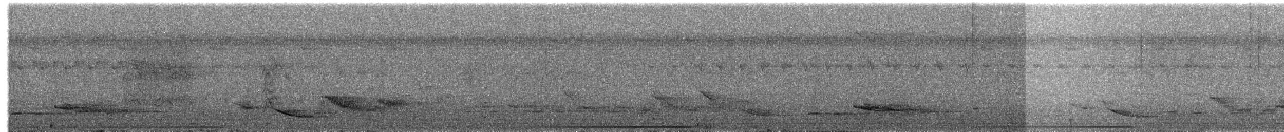 Spotted Buttonquail - ML203997451